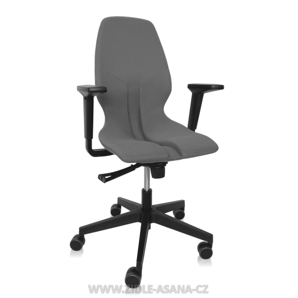 Ergonomická židle Ásana Spektra Textil, Graphite